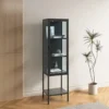 ויטרינת מתכת שחורה עם דלת זכוכית דגם 210, עומדת בסלון לצד עציץ, עם ספרים ואביזרי נוי מוצגים מבעד לזכוכית