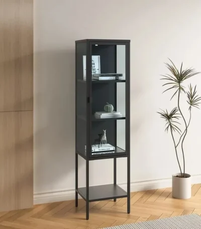 ויטרינת מתכת שחורה עם דלת זכוכית דגם 210, עומדת בסלון לצד עציץ, עם ספרים ואביזרי נוי מוצגים מבעד לזכוכית