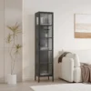 כוננית ויטרינה גבוהה בגוון שחור עם דלת זכוכית מפוספסת דגם 220, דלת סגורה בסלון מעוצב לצד עציץ ירוק